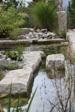 Bild: Formales Badebecken in einem Privatgarten